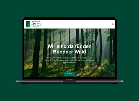 wordpress agentur graubünden|WordPress Webdesign Graubünden .